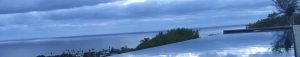 Blog Banner